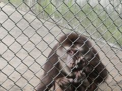 -合肥野生动物园