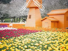 -苏州上方山国家森林公园
