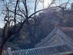 -潭柘寺景区