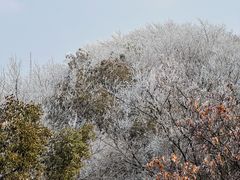 -惠山国家森林公园