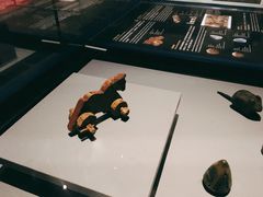 -香港科学馆