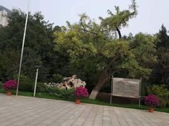 -华北军区烈士陵园