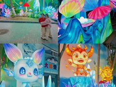 -海合安成都极地海洋公园
