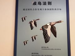 -贝美蓝天幼儿园(河东直沽园)
