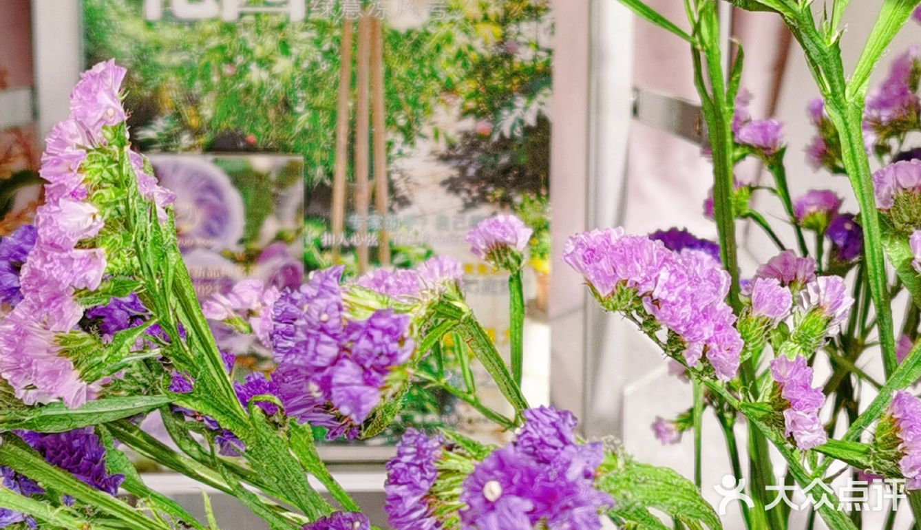 沉浸在美丽的花花草草中不可自拔