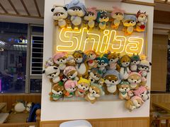 -豆柴町-柴犬主题狗咖(红鼎国际C座店)