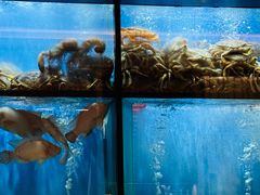 -珍宝海鲜JUMBO Seafood(尚嘉店)