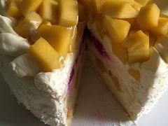 -维尔纳斯·生日蛋糕·动物奶油冰淇淋蛋糕(六里桥店)