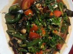 -生态苑农庄(十里画廊遇龙河店)