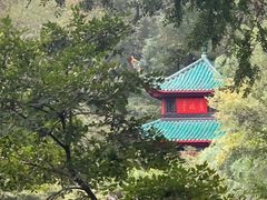 -岳麓山风景名胜区