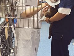 -北京赛佳动物医院