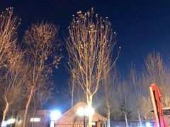 -九十九顶毡房(阜石路店)