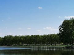 -东郊湿地公园
