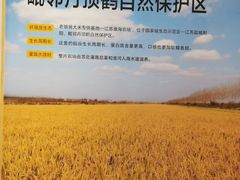 -老娘舅(吴淞路店)