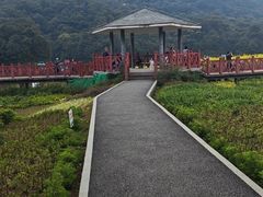 -广州市石门国家森林公园