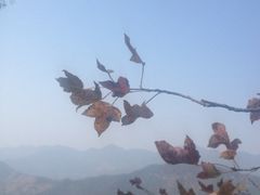 iphone_upload_pic-广州市石门国家森林公园