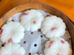 -鸽舞笙平金牌烧鸽子·融合菜(鲁谷店)