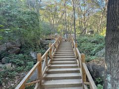 -大岭沟猕猴桃谷风景区