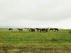 -新疆那拉提国家旅游度假区