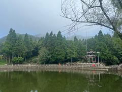 -玉苍山国家森林公园