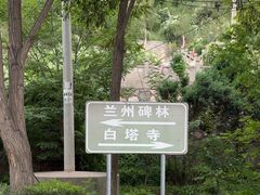 -白塔山公园