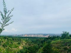 -红山国家森林公园