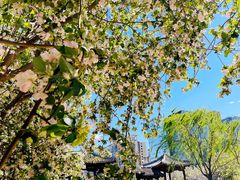 -元大都城垣遗址公园