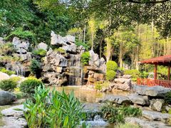 -东莞植物园