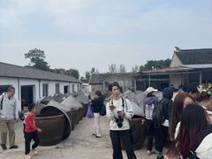 -苏州市吴中区光福窑上花果蜜饯厂