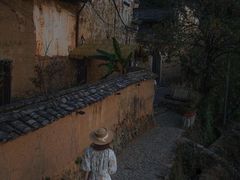 -杨家堂村