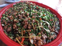 -东吴霸王兔(松青路店)