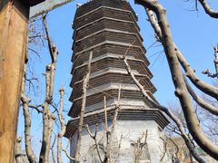 -正阳书局(西四南大街店)