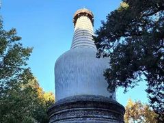 -大觉寺-停车场