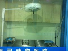 -百灵动物医院