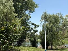 -两河城市森林公园