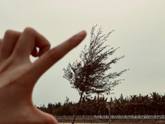 -白沙门生态公园