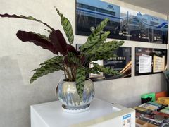 -龙膜全球臻选店·汽车贴膜·隐形车衣(北京琪朗店)