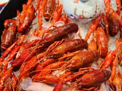 -舞虾小说.涮肉.烧烤(国顺东路店)