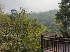 -西双版纳原始森林公园