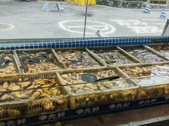 -争先鲜·蒸汽海鲜自助·鲜切牛肉