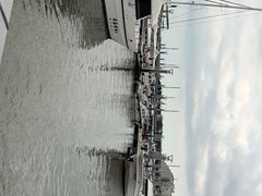 -日照世帆赛基地