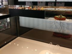 -BLACKSWAN黑天鹅(环球店)