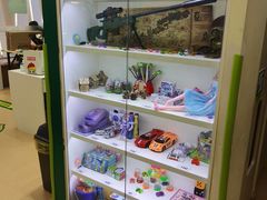 -小问号·科学启蒙·逻辑思维·阅读素养·口才演讲(杨浦合生汇中心)