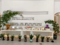 -紫琪尔·匠心连锁·胸部护理养护