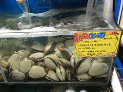 -蚝专家(北滘店)