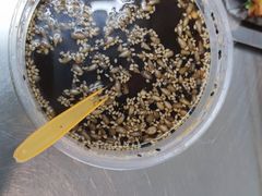 -虎门巷高坎坎烤肉店