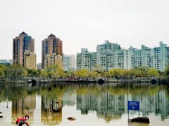 -大宁公园