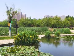 -前关湿地公园
