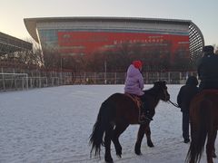 -沈阳奥体冰雪嘉年华