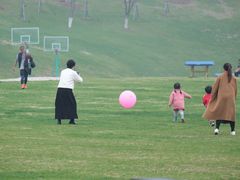 -羊山湖公园